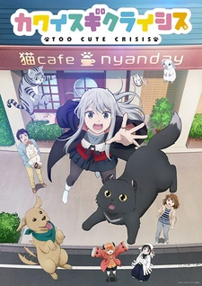 аниме Слишком милый кризис